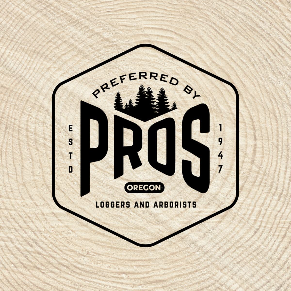 Oregon 25896 3/16 inch Chainsaw File Guide with File - Image 5